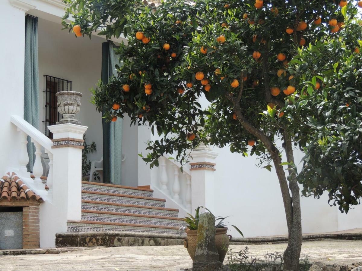 Casas Del Madrono Villa Cazalla de la Sierra Exterior foto
